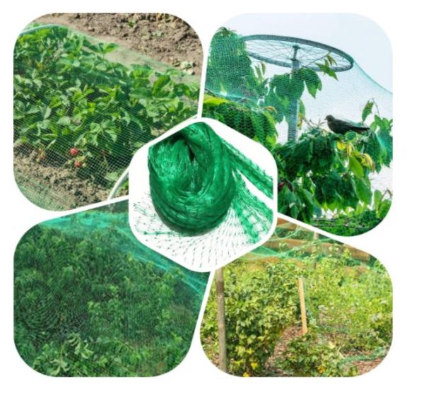 Net - Plant & Tree Protection – 13.12 Ft x 16.4 Ft &50 Pcs Nylon Cable Tie / Free shipping